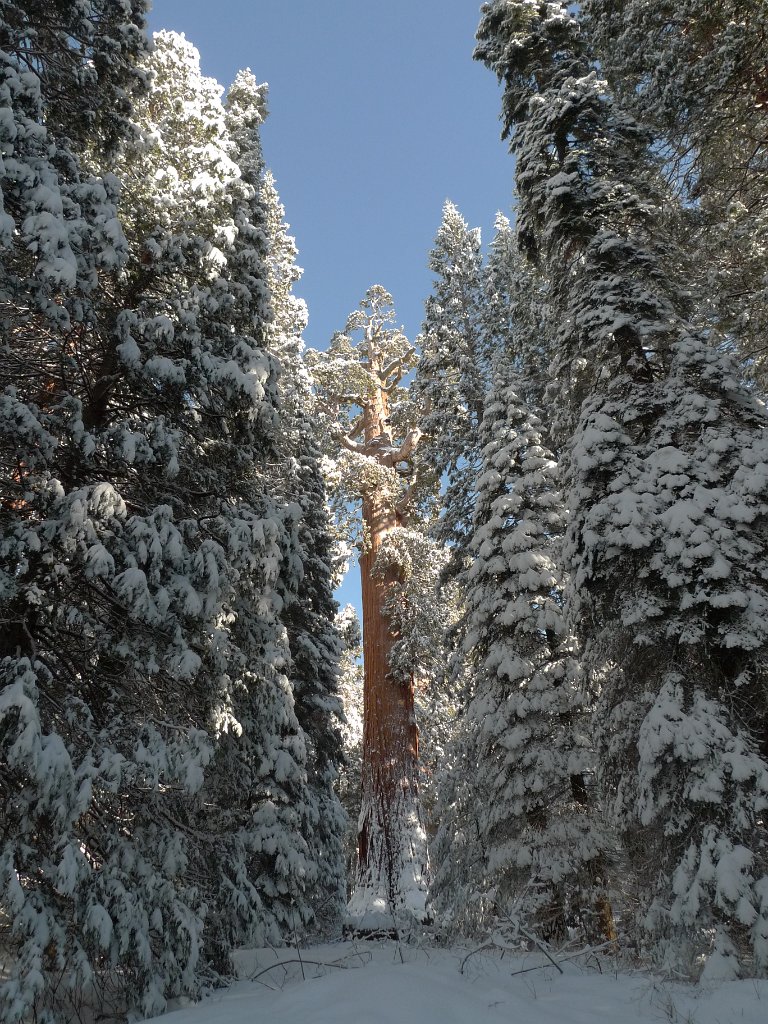 Christmas2010 210.JPG